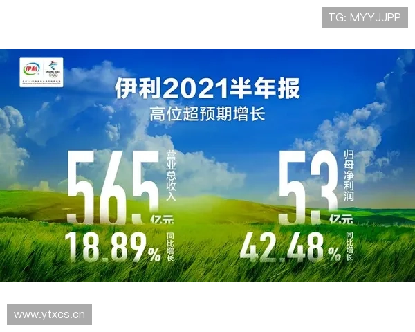 东升地毯集团有限公司引领地毯产业高质量发展新格局创新升级与国际化布局